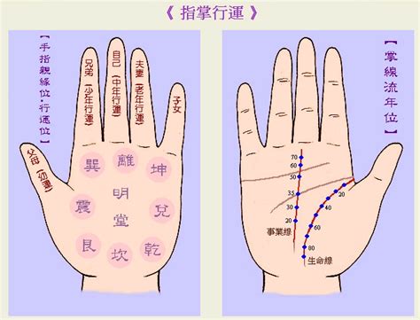 手相大全|手相基础：几种重要的手纹图解